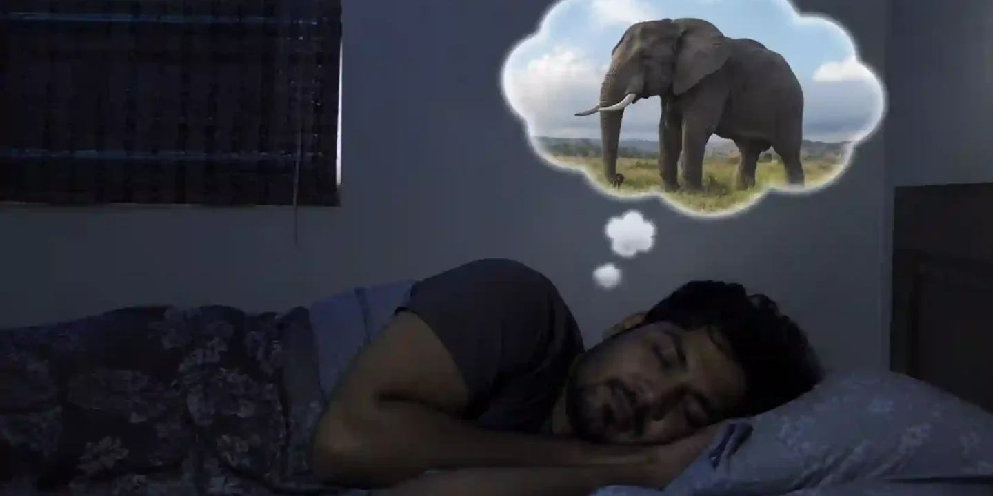 सपने में हाथी देखना: धन, सम्मान और शुभ संकेत