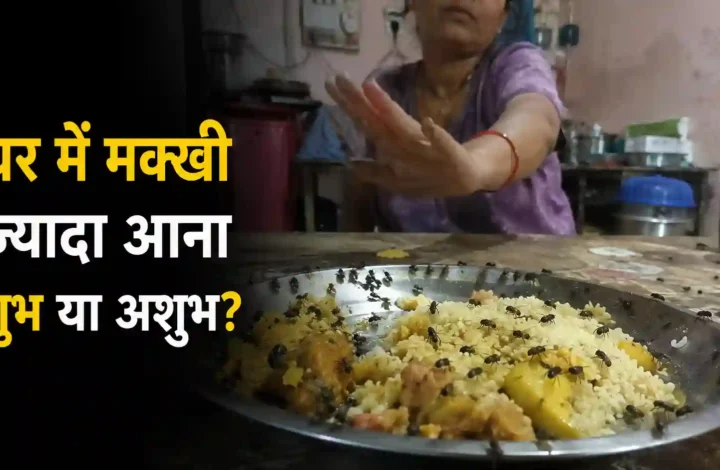 घर में मक्खी ज्यादा आना शुभ या अशुभ? मक्खी भगाने के घरेलू उपाय