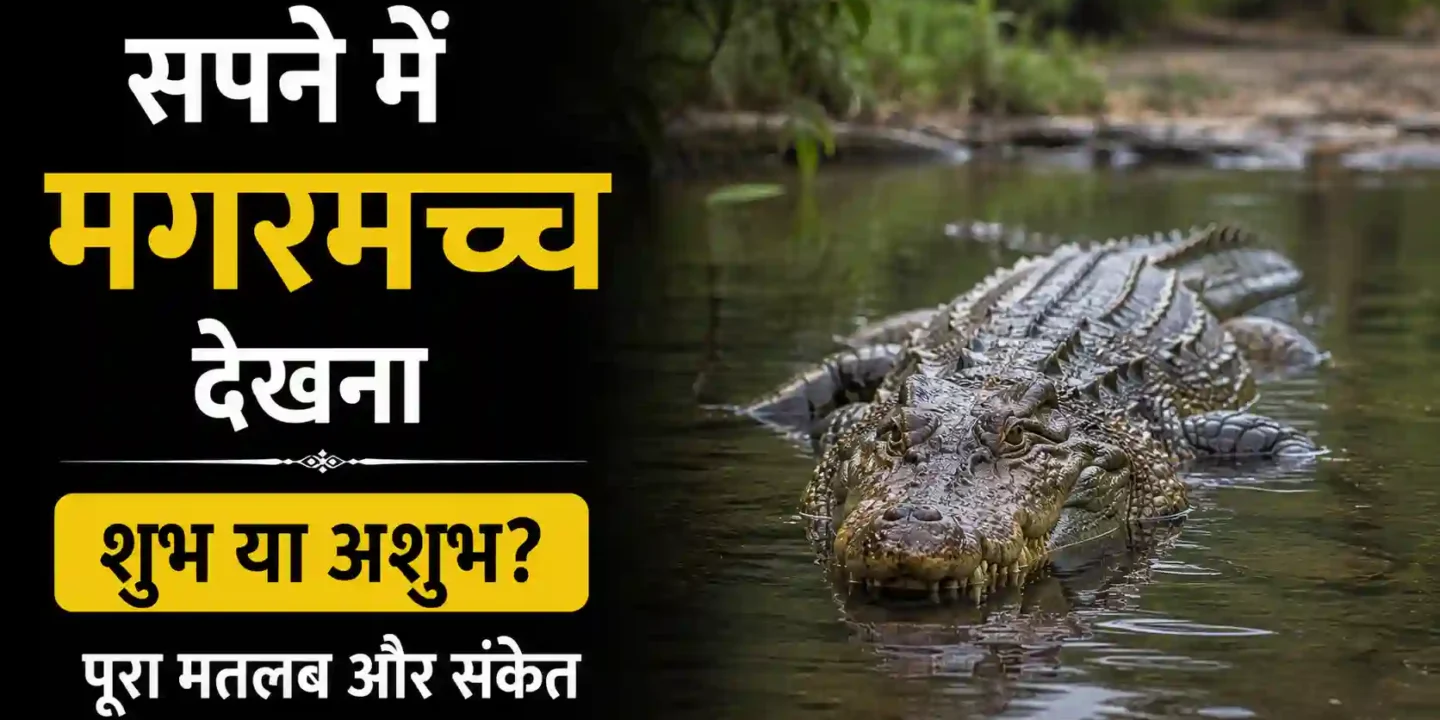 सपने में मगरमच्छ देखना शुभ या अशुभ? पूरा मतलब और संकेत