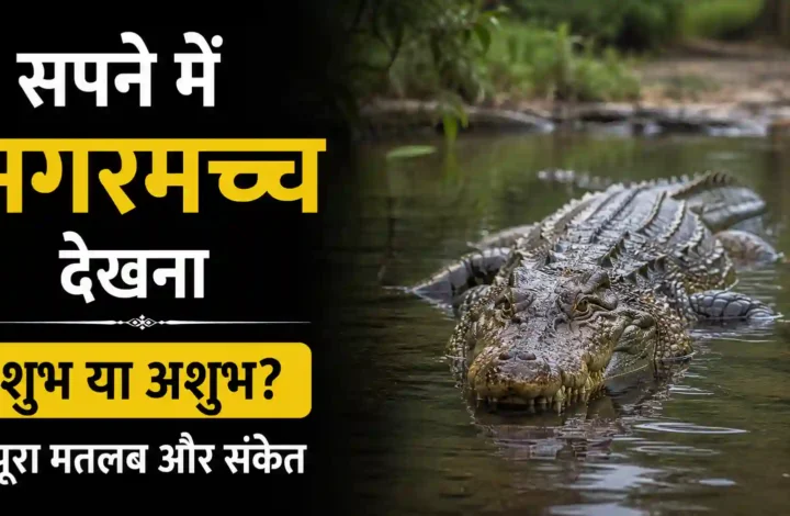 सपने में मगरमच्छ देखना शुभ या अशुभ? पूरा मतलब और संकेत