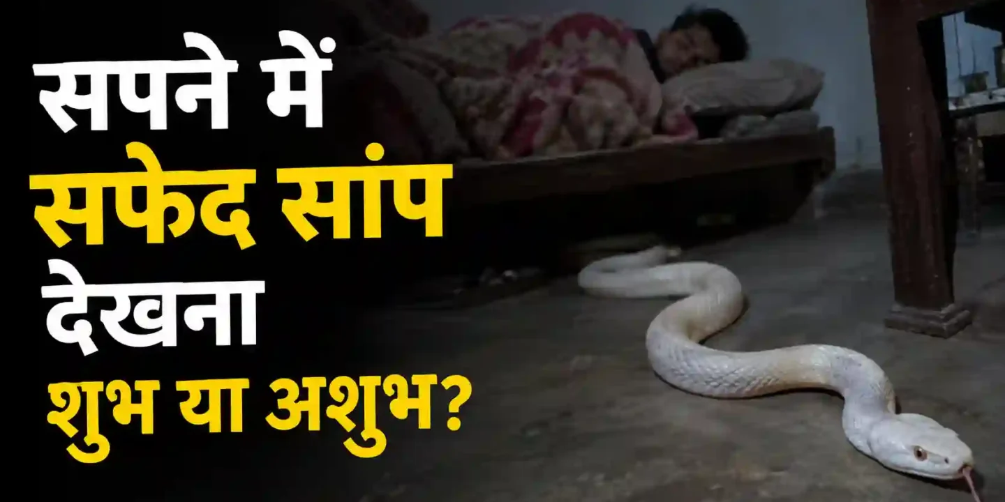 सपने में सफेद सांप देखना शुभ या अशुभ? पूरा अर्थ, संकेत और क्या करें