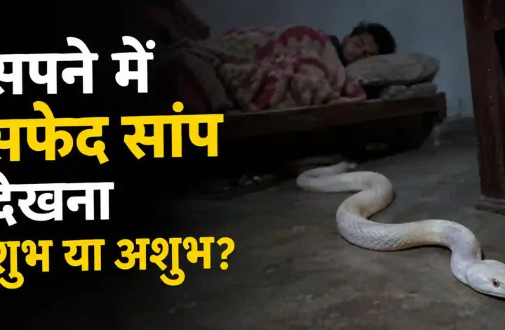 सपने में सफेद सांप देखना शुभ या अशुभ? पूरा अर्थ, संकेत और क्या करें